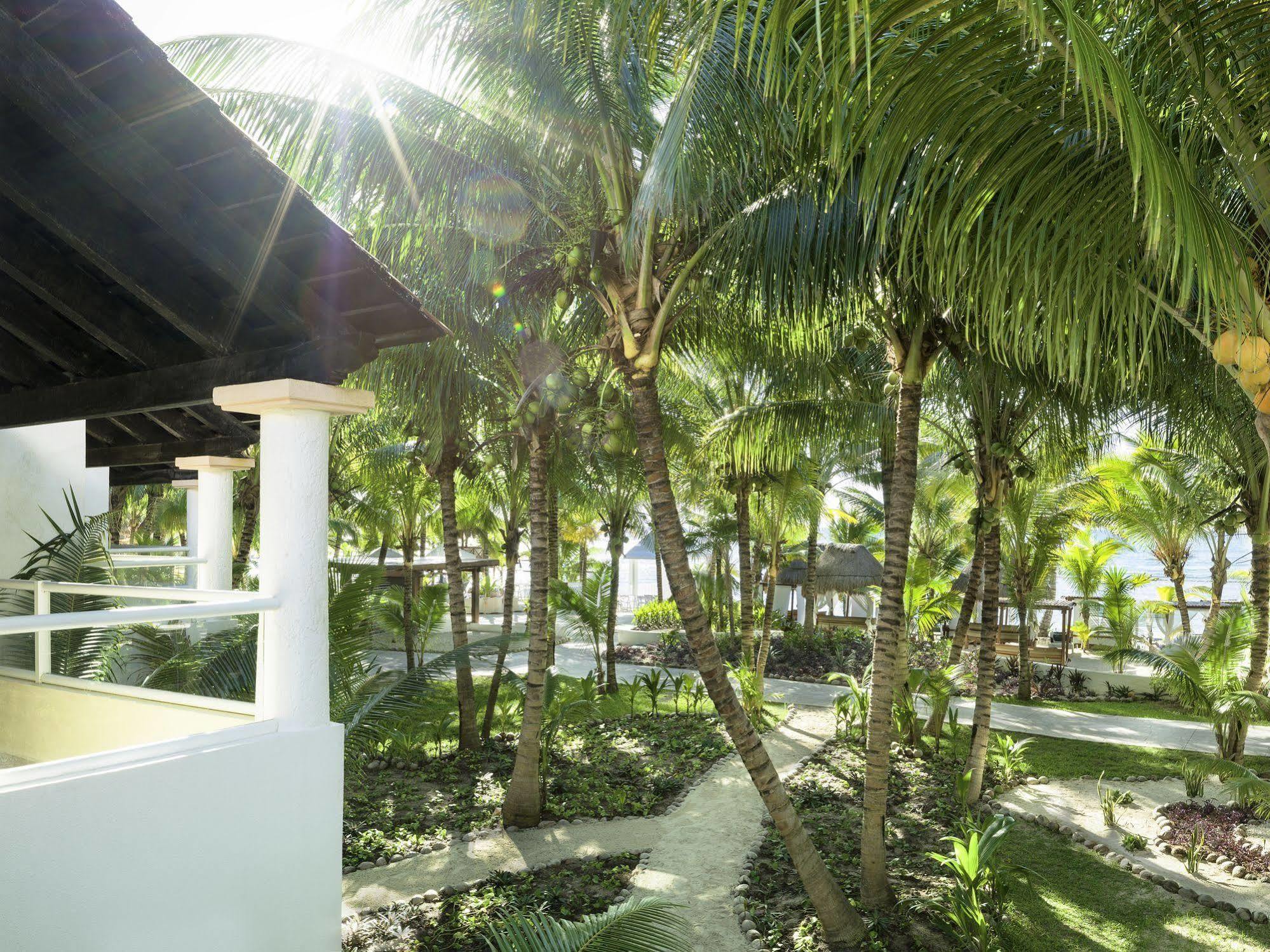 فندق El Dorado Seaside Palms Adults Only Xetna المظهر الخارجي الصورة